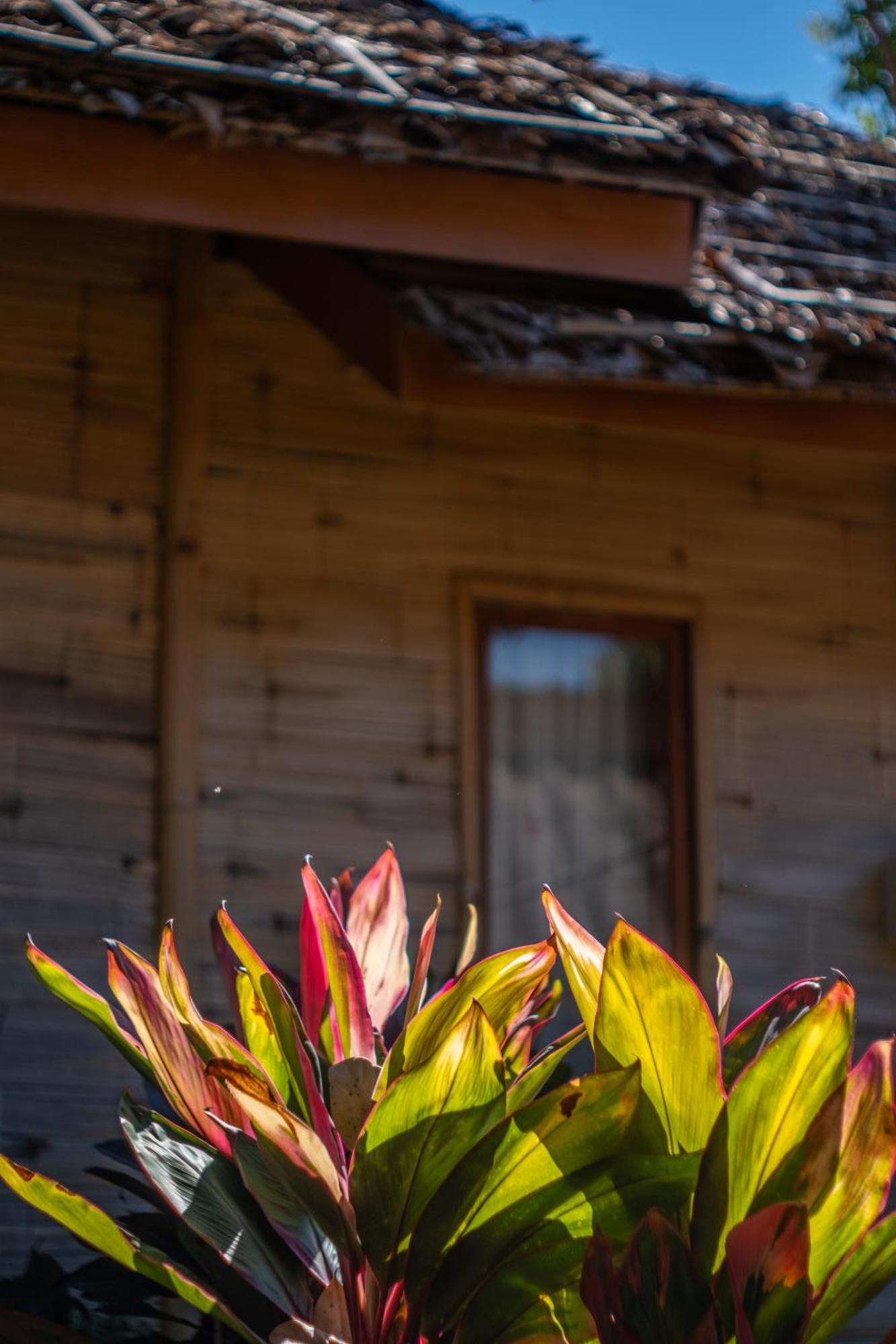 The Nest House Hotel Pai Exterior foto