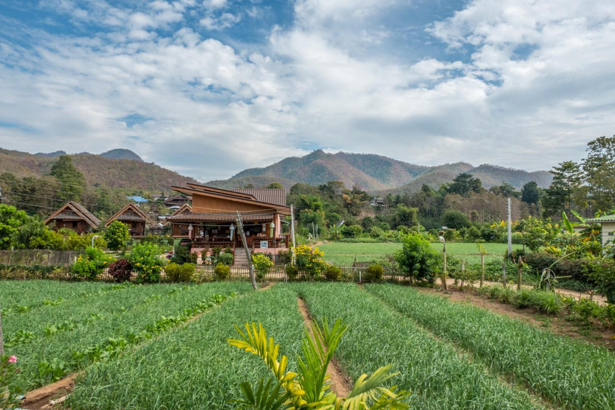 The Nest House Hotel Pai Exterior foto