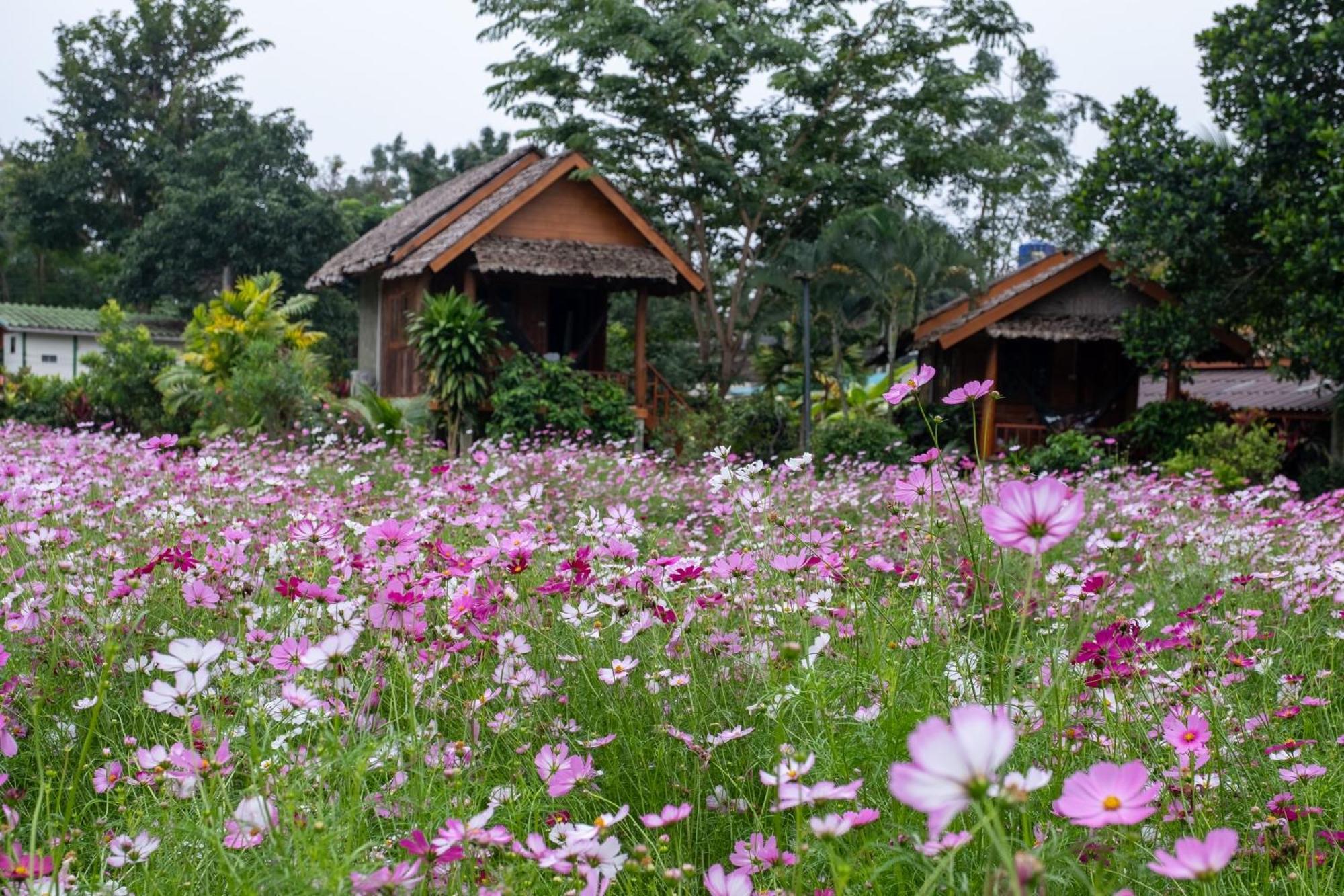 The Nest House Hotel Pai Exterior foto