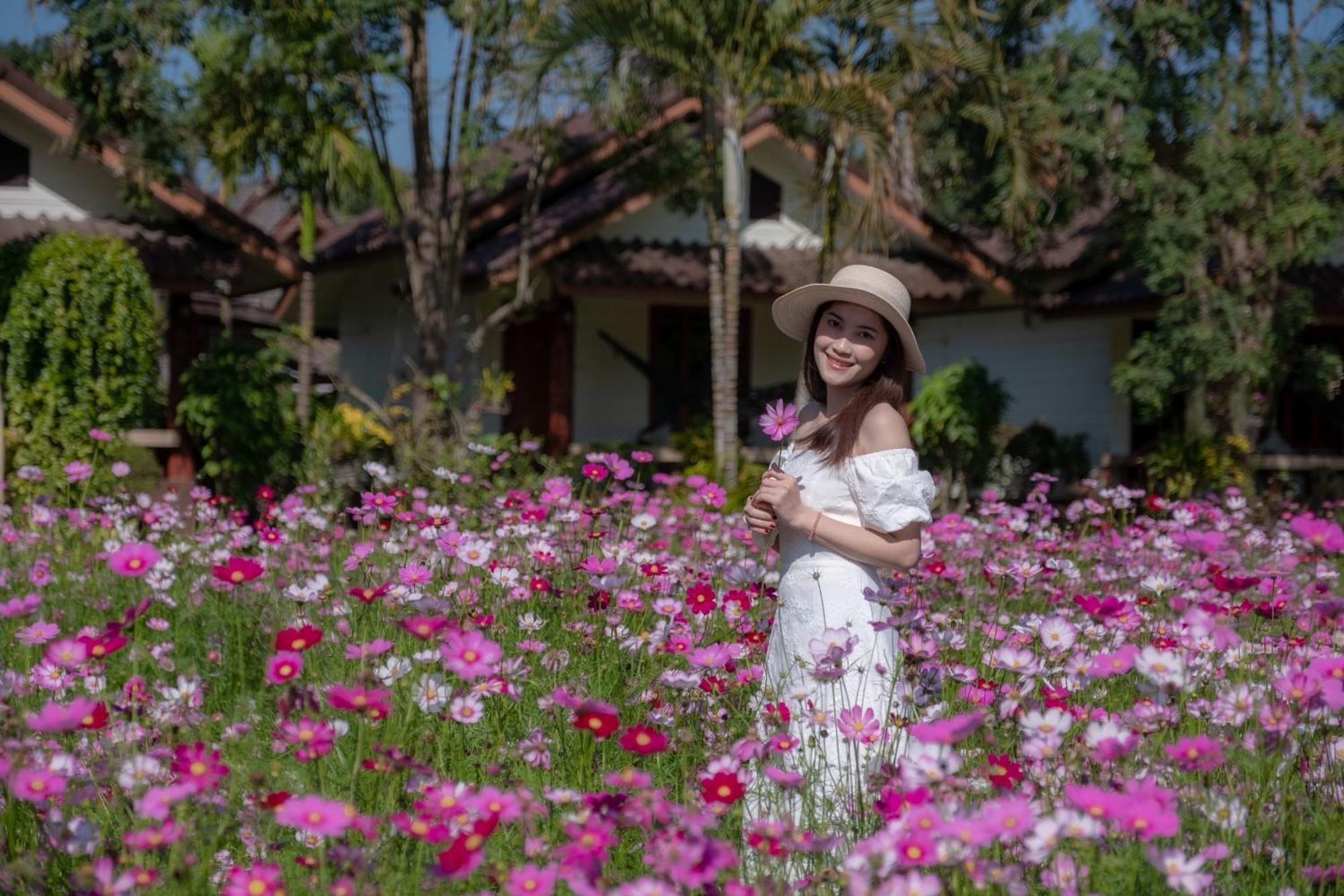 The Nest House Hotel Pai Exterior foto