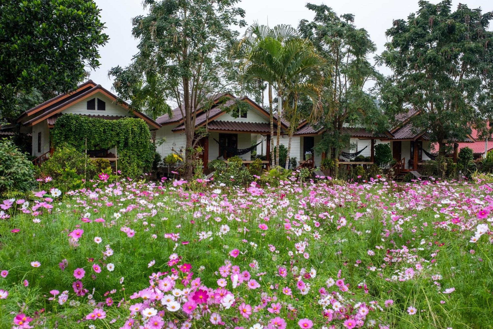 The Nest House Hotel Pai Exterior foto