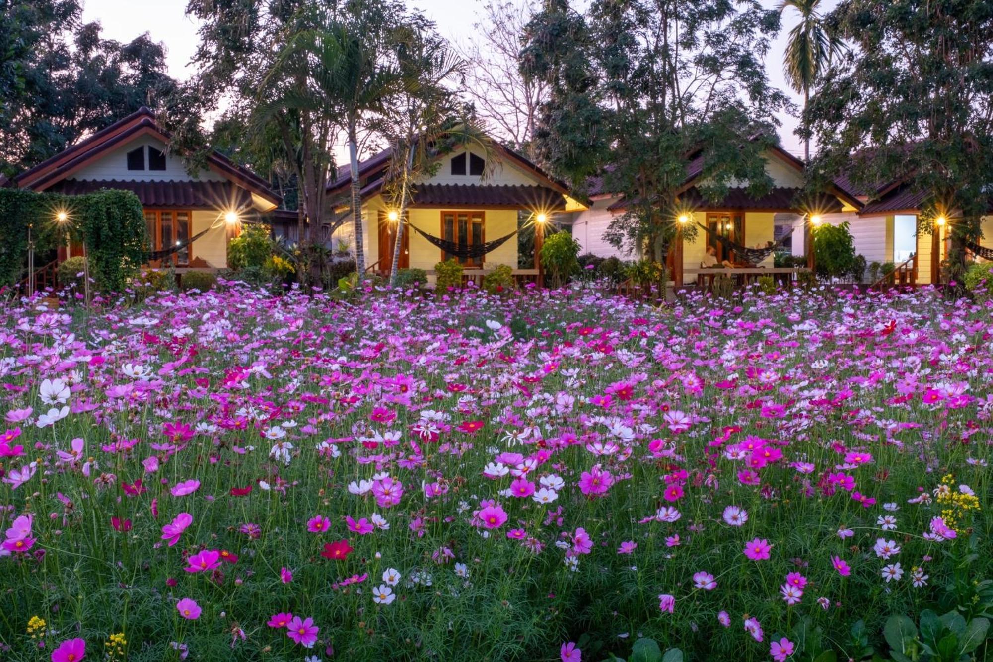 The Nest House Hotel Pai Exterior foto