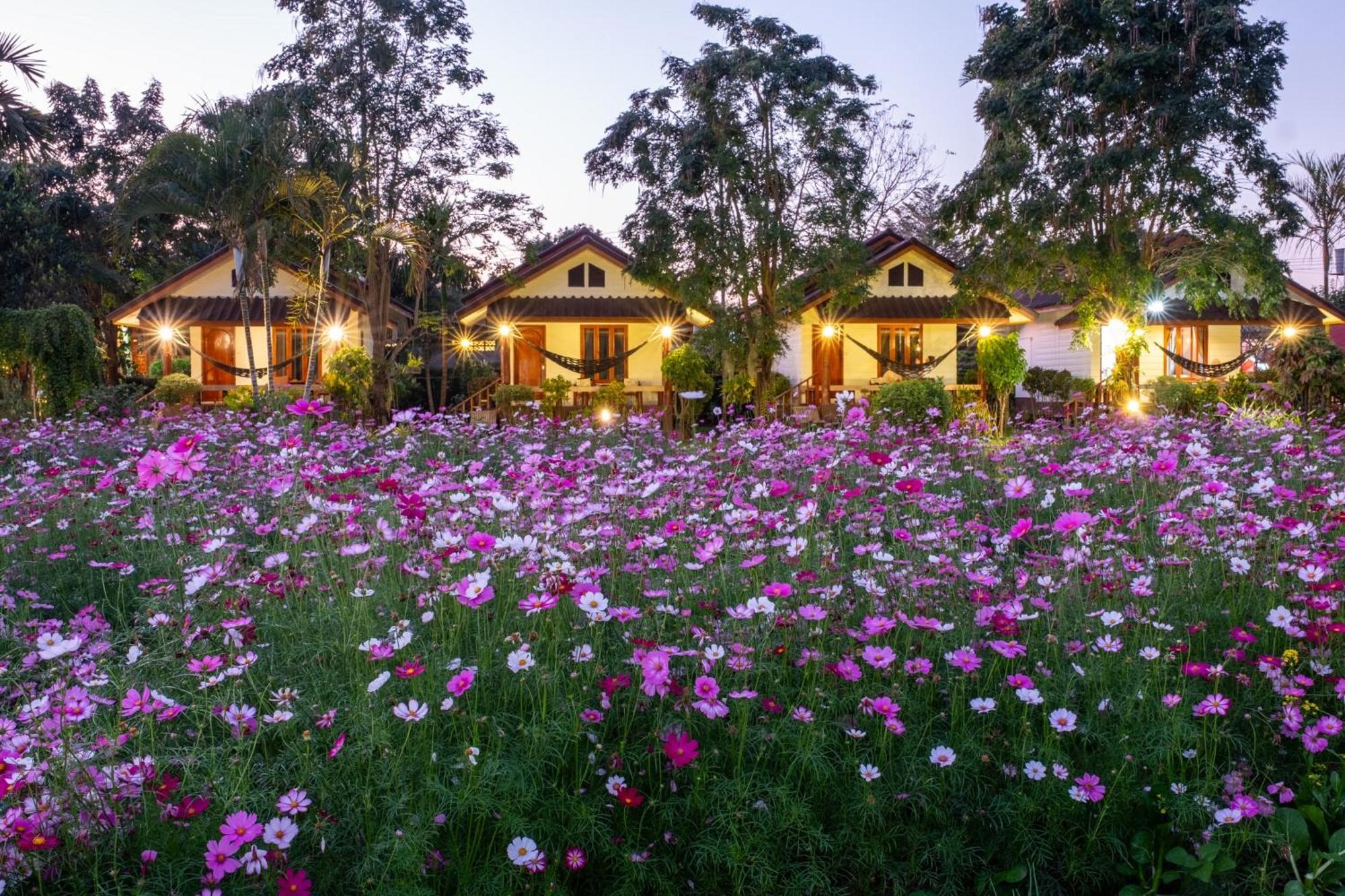 The Nest House Hotel Pai Exterior foto