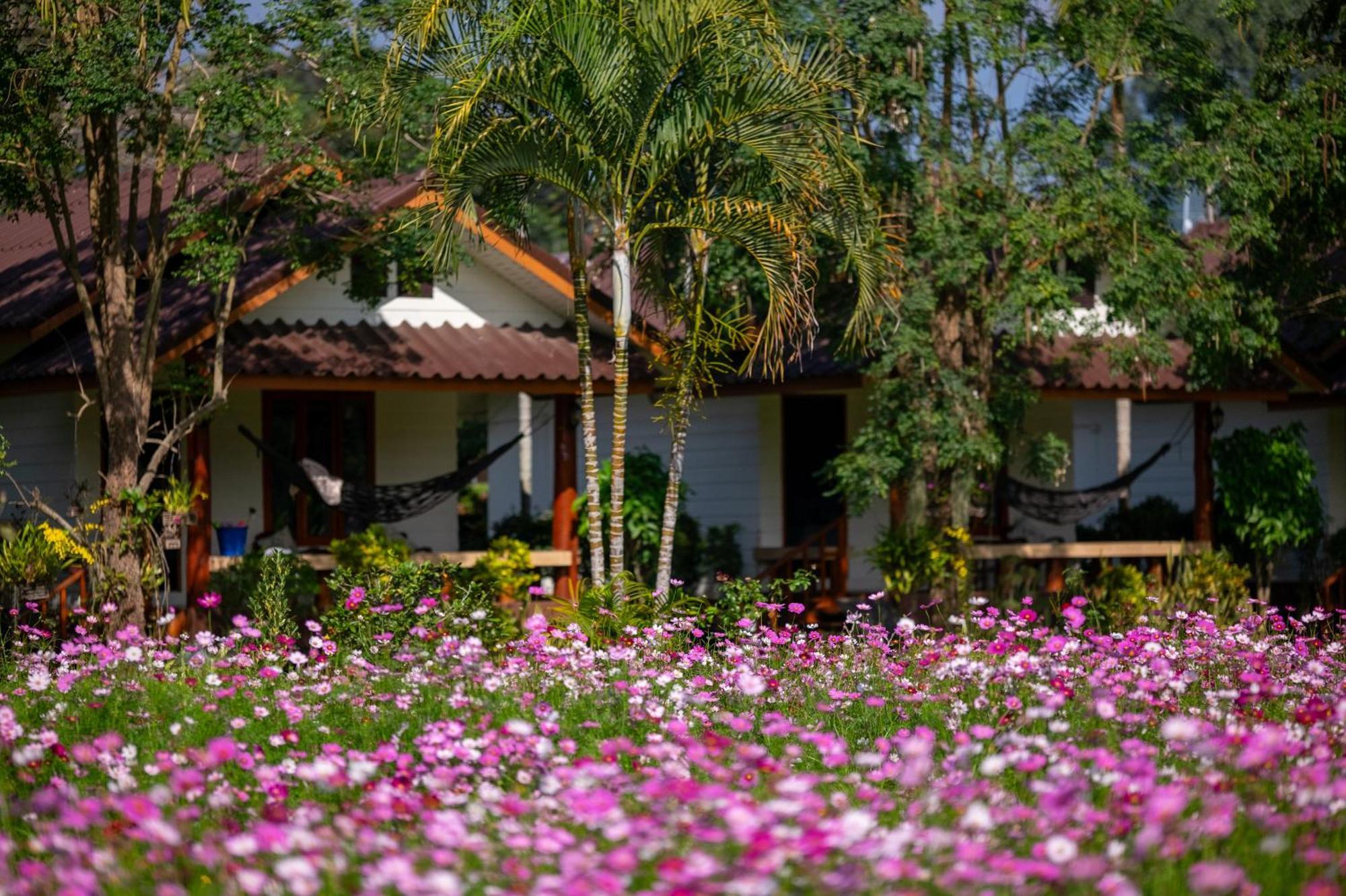 The Nest House Hotel Pai Exterior foto