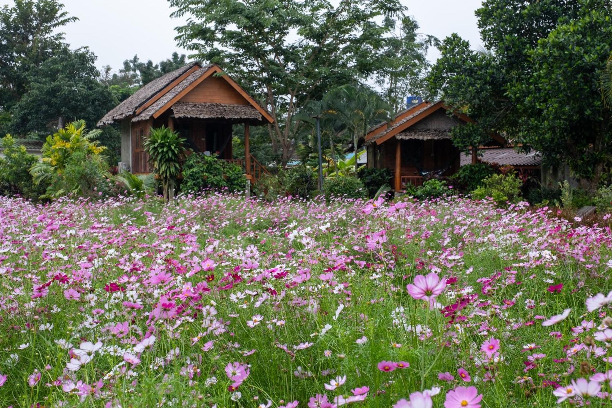 The Nest House Hotel Pai Exterior foto