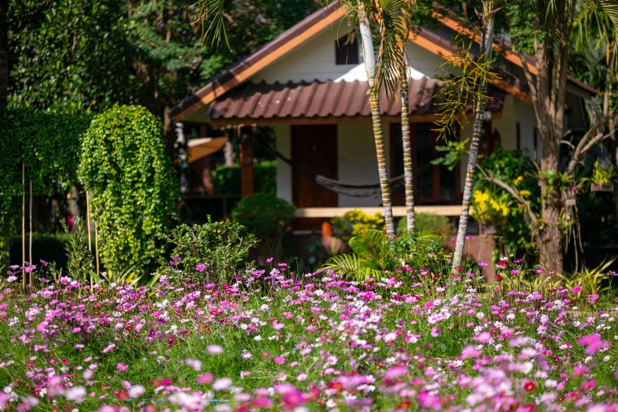 The Nest House Hotel Pai Exterior foto